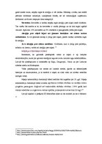 Referāts 'Niķelis', 6.