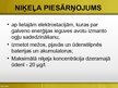 Referāts 'Niķelis', 24.