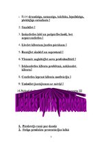 Konspekts 'Pārdevēja uzdevumi', 3.