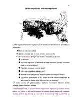 Referāts 'Bīstamo kravu pārvadājumi', 31.