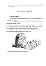 Referāts 'Bīstamo kravu pārvadājumi', 32.