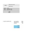 Paraugs 'Uzņēmuma budžeta sagatavošana', 10.