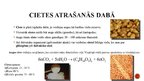 Prezentācija 'Dabiskie lielmolekulārie savienojumi', 9.