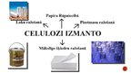 Prezentācija 'Dabiskie lielmolekulārie savienojumi', 14.