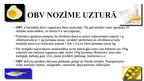 Prezentācija 'Dabiskie lielmolekulārie savienojumi', 16.