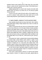 Diplomdarbs 'SIA "X" ārējie sakari un to ietekme uz uzņēmuma turpmāko attīstību', 11.