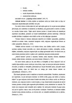 Diplomdarbs 'SIA "X" ārējie sakari un to ietekme uz uzņēmuma turpmāko attīstību', 21.