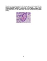 Konspekts 'Ginekoloģiskās infekcijas saslimšanas', 22.