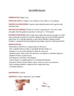 Konspekts 'Ginekoloģiskās infekcijas saslimšanas', 23.