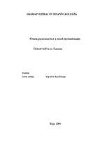 Konspekts 'Стиль руководства в моей организации', 1.