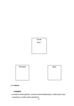 Konspekts 'Sociālais gadījums', 6.