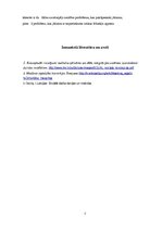 Konspekts 'Sociālais gadījums', 7.