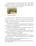 Prakses atskaite 'Juridiskā prakse Valsts policijā', 8.