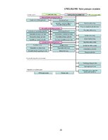 Prakses atskaite 'Juridiskā prakse Valsts policijā', 30.