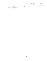 Prakses atskaite 'Juridiskā prakse Valsts policijā', 37.