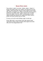 Konspekts 'Meža rūķi', 1.