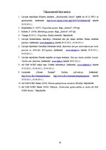 Referāts 'A/s "DnB Nord Banka" tirgus izpēte', 29.