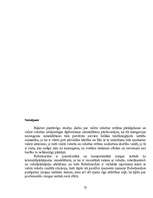 Referāts 'Likumpārkāpumu izmeklēšanas īpatnības', 26.