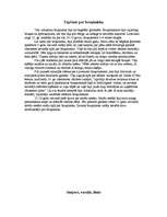 Konspekts 'Bruņinieki', 2.