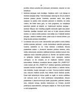 Diplomdarbs 'Mārketinga procesa vadīšana SIA "Fretbols"', 40.