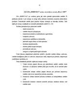 Diplomdarbs 'Mārketinga procesa vadīšana SIA "Fretbols"', 45.