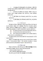 Referāts 'Biroja datoru tīkls', 4.