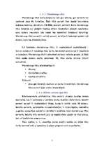 Referāts 'Biroja datoru tīkls', 5.