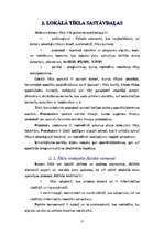 Referāts 'Biroja datoru tīkls', 6.