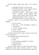 Prakses atskaite 'Kvalifikācijas prakses atskaite mārketingā', 7.