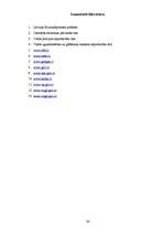 Referāts 'Nelaimes gadījumu dinamika Latvijā', 34.