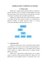 Referāts 'Iekšējais audits', 4.