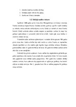 Referāts 'Iekšējais audits', 6.