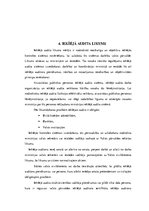 Referāts 'Iekšējais audits', 9.