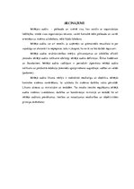 Referāts 'Iekšējais audits', 11.