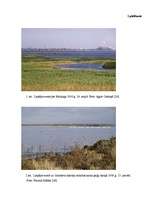 Referāts 'Liepājas ezera ekoloģiskā stāvokļa novērtējums pēc fitoplanktona', 25.