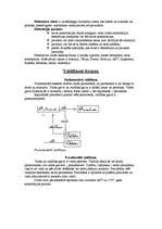 Konspekts 'Valsts, tās būtība, loma un forma', 3.