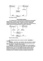 Konspekts 'Valsts, tās būtība, loma un forma', 4.