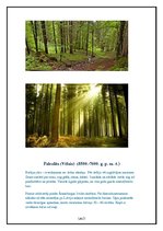 Konspekts 'Akmens laikmets Latvijā', 2.