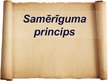 Prezentācija 'Samērīguma princips', 1.
