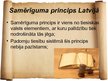 Prezentācija 'Samērīguma princips', 4.