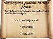 Prezentācija 'Samērīguma princips', 12.