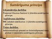 Prezentācija 'Samērīguma princips', 13.
