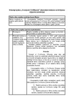 Konspekts 'Likumprojekta „Grozījumi Civillikumā” sākotnējās ietekmes novērtējuma ziņojums (', 1.