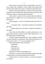 Diplomdarbs 'Pasažieru pārvadājumu organizācija', 23.