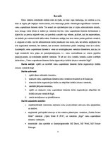 Referāts 'Viesu uzņemšanas dienesta darba organizācijas izvērtēšana dažāda lieluma viesnīc', 3.