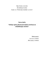 Referāts 'Ahileja cīpslas plīsuma ārstēšana', 1.