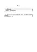 Referāts 'Ahileja cīpslas plīsuma ārstēšana', 3.