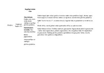 Referāts 'Pirmsskolas mācību gada plāns', 15.