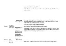 Referāts 'Pirmsskolas mācību gada plāns', 20.