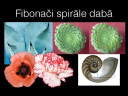Prezentācija 'Fibonači skaitļi', 4.